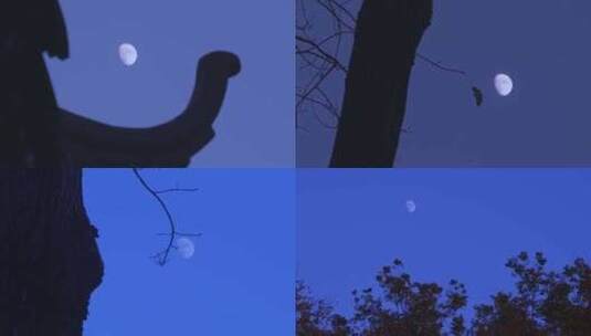 秋天的月亮高清在线视频素材下载