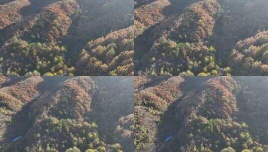航拍辽宁千山色彩斑斓的秋景高清在线视频素材下载