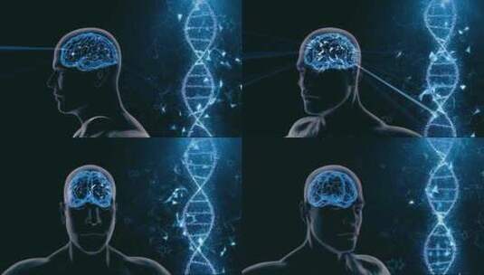 遗传病和大脑高清在线视频素材下载