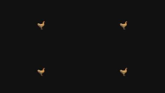 农场动物-鸡-4场景高清在线视频素材下载