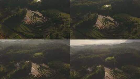 鸟瞰风景如画的稻田日出在鲁滕，弗洛雷斯，高清在线视频素材下载