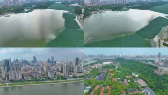 湖北武汉月湖龟山电视塔汉江风景区航拍车流高清在线视频素材下载