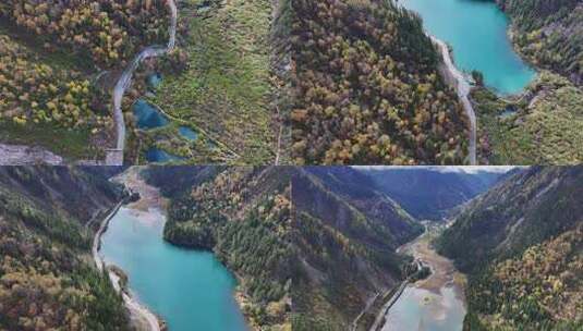 航拍九寨沟秋景彩林川西秋天原始森林五花海高清在线视频素材下载