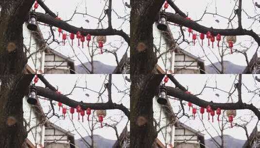 树枝上悬挂的春节红灯笼高清在线视频素材下载