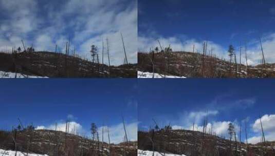 高清实拍被砍伐的森林高清在线视频素材下载