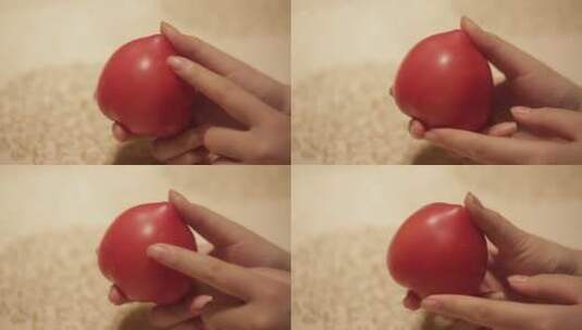 番茄西红柿 (4)高清在线视频素材下载