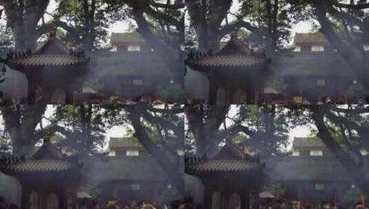 浙江普陀山普济寺禅院建筑4K实拍视频高清在线视频素材下载