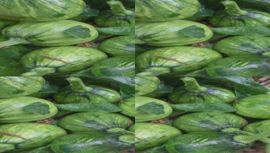新鲜采摘的小南瓜蔬果4k滑轨平移高清在线视频素材下载