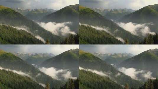 山林中形成的云朵高清在线视频素材下载