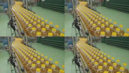 葵花籽油瓶在生产线上传输高清在线视频素材下载