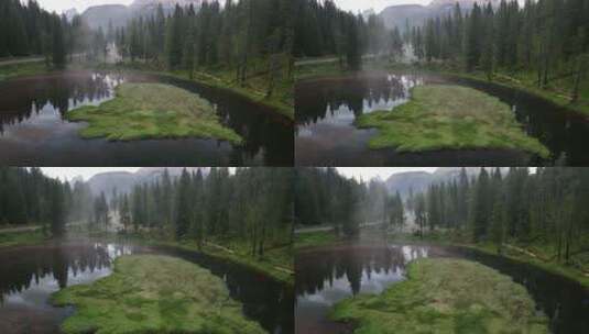 雾和薄雾的夏季森林鸟瞰图高清在线视频素材下载