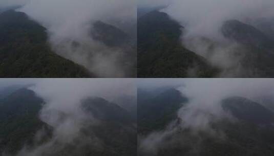 云海中的原始森林、高清在线视频素材下载
