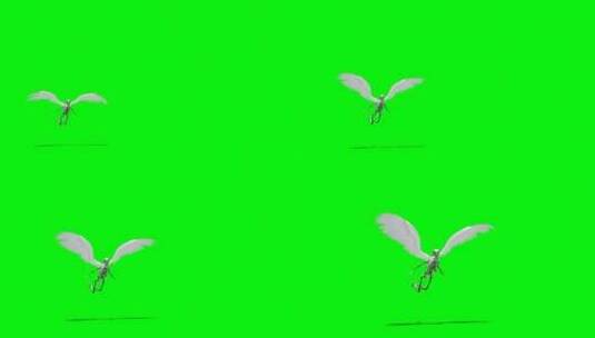 绿幕-动物-飞翔骷髅高清在线视频素材下载