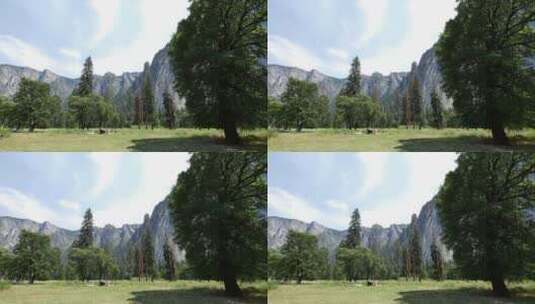 树木和山谷景观高清在线视频素材下载