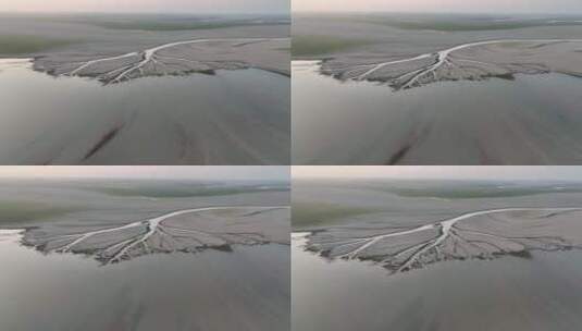 鄱阳湖生命之树航拍视频，自然奇观高清在线视频素材下载
