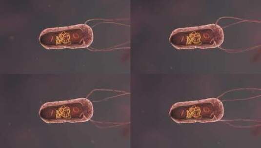 医学病原体病毒病原体病菌细菌医学三维动画高清在线视频素材下载