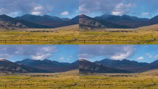 西藏 高原 草原 延时 雪山高清在线视频素材下载