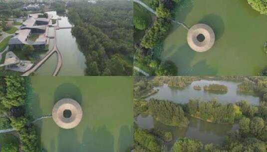 浐灞国际湿地公园3高清在线视频素材下载