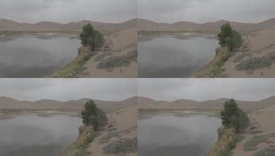 巴丹吉林沙漠庙海子航拍阿拉善高清在线视频素材下载