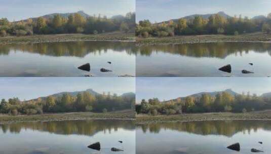 济南玉符河长清段，河流两侧秋景如画高清在线视频素材下载
