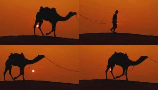夕阳下的骆驼队一带一路茶马古道丝绸之路高清在线视频素材下载