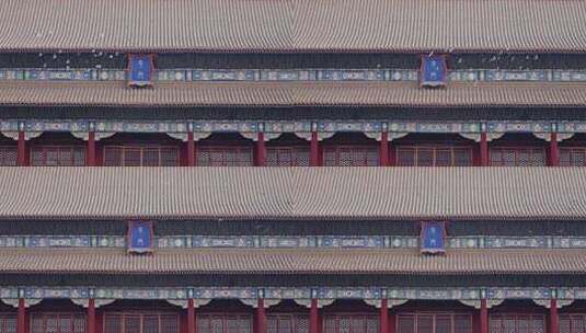 4K超清故宫古建筑午门和平鸽红墙高清在线视频素材下载