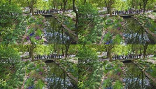 航拍上海·莫奈花园｜共青森林公园高清在线视频素材下载