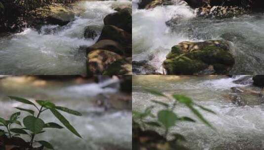 Z 4K 小河流水 溪水 溪流 清澈 大自然 泉水高清在线视频素材下载