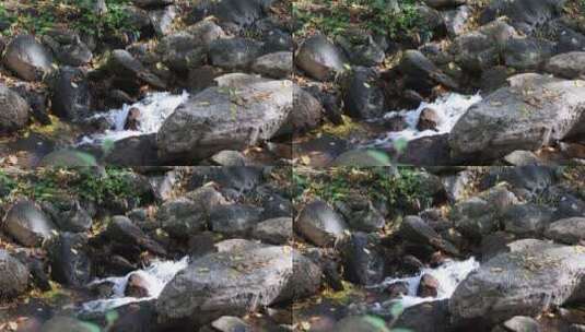 落叶泛黄 小溪河流高清在线视频素材下载