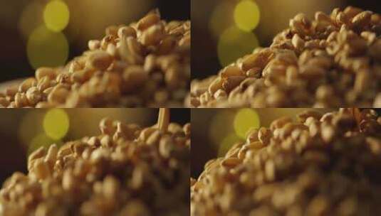 小麦粒掉落7高清在线视频素材下载