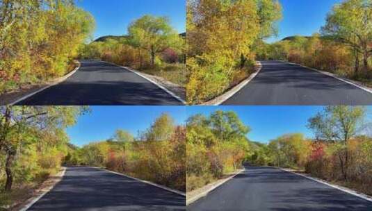 秋天的乡村五彩公路高清在线视频素材下载