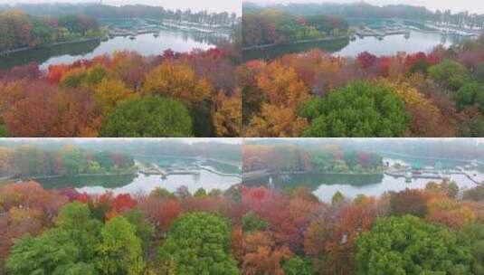 武汉东湖风景区深秋风光高清在线视频素材下载