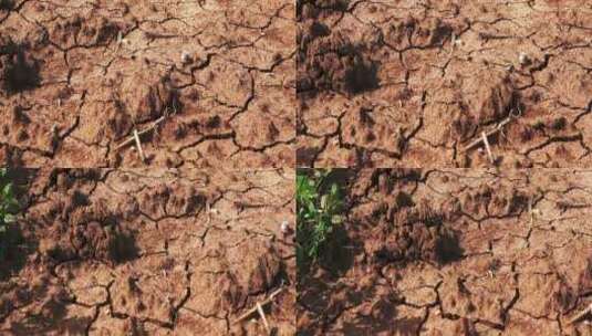 黄土高原干旱土地干涸龟裂缺水旱灾爱护地球高清在线视频素材下载