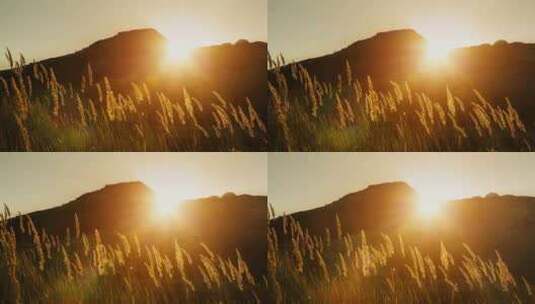 山坡草地上黄昏落日景观高清在线视频素材下载