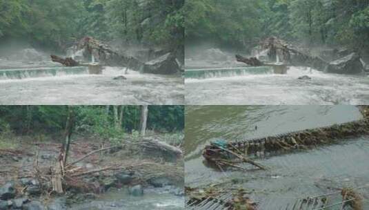 台风过后河流树木高清在线视频素材下载