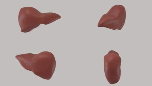 用于插入的人类肝脏在灰色背景上旋转的3D高清在线视频素材下载