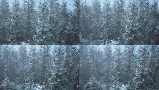 冰雪覆盖的森林中宁静的冬季仙境高清在线视频素材下载