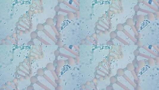 DNA螺旋结构3d模拟13高清在线视频素材下载