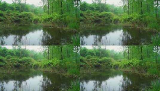 下雨天雨水雨滴落在池塘里泛起波纹和水花高清在线视频素材下载