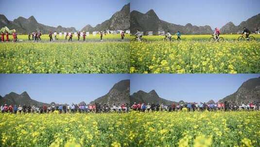 油菜花地骑自行车高清在线视频素材下载