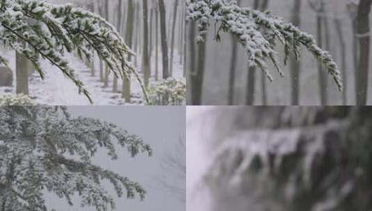 覆雪松枝雪景特写高清在线视频素材下载