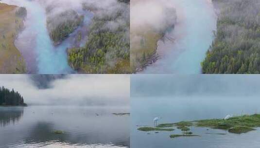新疆喀纳斯晨雾雾气缭绕的湖泊与白鹭航拍高清在线视频素材下载