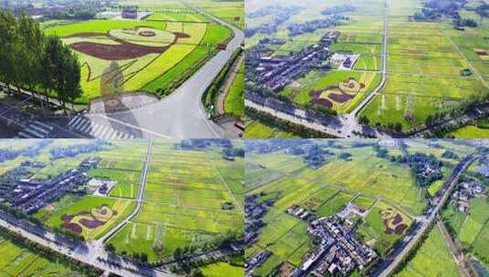 合集成都崇州天府粮仓大熊猫稻田画稻穗特写高清在线视频素材下载