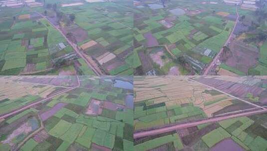 4K农业标准化田地三农农田航拍高清在线视频素材下载