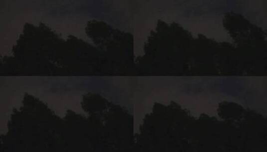 晚上树林夜晚风吹树林树木森林天黑森林黑夜高清在线视频素材下载