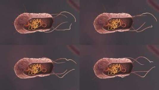 医学病原体病毒病原体病菌细菌医学三维动画高清在线视频素材下载