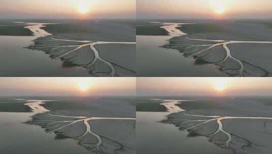 夕阳下鄱阳湖之树航拍视频，大自然的画笔高清在线视频素材下载