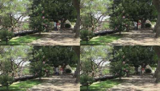 公园里散步的人高清在线视频素材下载