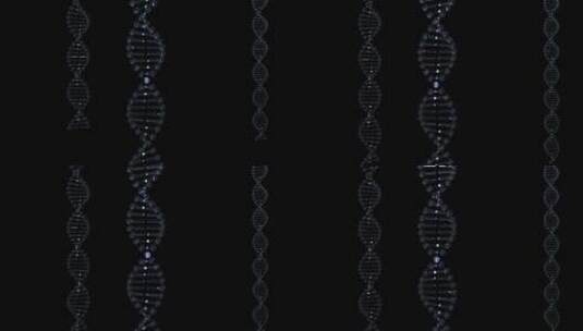 DNA 遗传物质 基因库高清在线视频素材下载