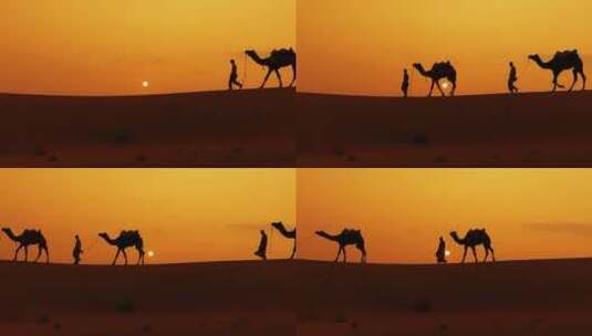 日落时分牵着骆驼走的人高清在线视频素材下载